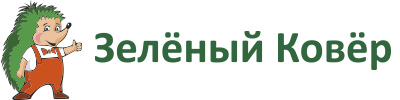 Зелёный ковёр